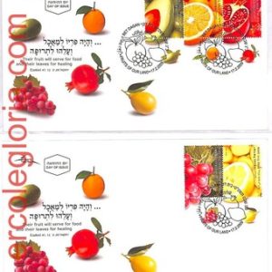 ai4159 - Israel - POSTAL HISTORY - Set of 2 FDC Cover - FRUIT Grapes - 2009