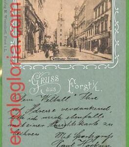ah1254 - GERMANY - VINTAGE POSTCARD Ansichtskarten - Gruss aus  Forst  - 1903