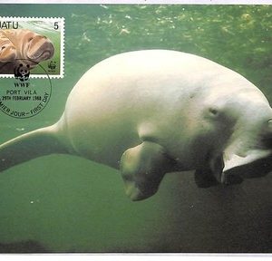ai4171 - Vanuatu - POSTAL HISTORY - Maxium Card - WWF - 1987  Manatee