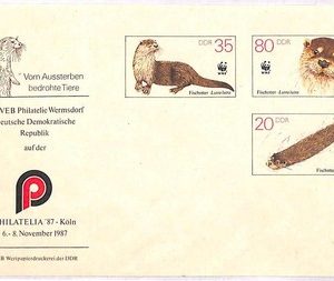 ai4172 - DDR Germany - POSTAL HISTORY - Postal Stationery Cover - WWF