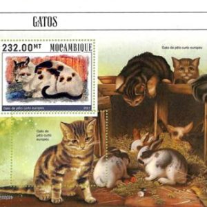 A9054 - Mozambique - ERROR MISPERF Stamp Sheet - 2021 - Animals, CATS