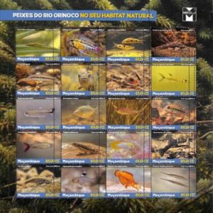 A9046 - Mozambique - ERROR MISPERF Stamp Sheet - 2021 - Marine Life