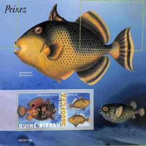 A7583 - GUINE BISSAU - ERROR MISPERF Stamp Sheet -  2022 - Marine Life, Fish