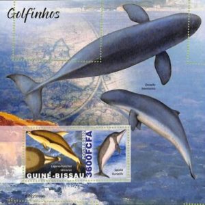 A7584 - GUINE BISSAU - ERROR MISPERF Stamp Sheet -  2022 - Marine Life, Dolphins