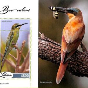 A9026 - LIBERIA - ERROR MISPERF Stamp Sheet - 2022  - Birds, Bee-eaters