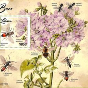 A9024 - LIBERIA - ERROR MISPERF Stamp Sheet - 2022  - INSECTS, BEES