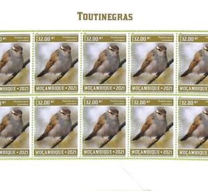 A9067 - Mozambique - ERROR MISPERF Stamp Sheet - 2021 - Birds, Toutinegras
