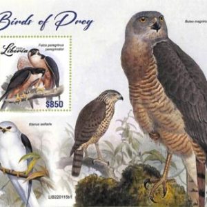 A9021 - LIBERIA - STAMP SHEET - 2022  - Birds of Prey