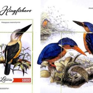 A9025 - LIBERIA - ERROR MISPERF Stamp Sheet - 2022  - Birds, Kingfishers