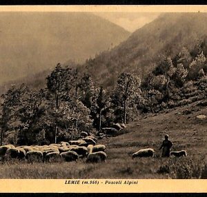 ab3739 - CARTOLINA D'EPOCA - Torino  Provincia - Lemie