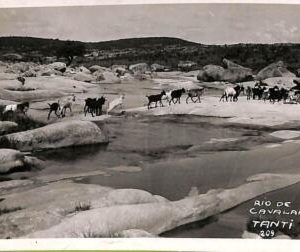ac1473 - ARGENTINA -  Vintage Postcard - TANTI - 1936