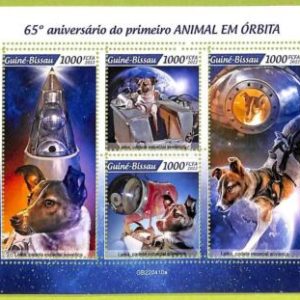B0418 - GUINE-BISSAU - ERROR MISPERF Stamp Sheet - 2022 - Animal in Orbit,Space