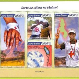 B0448 - GUINE-BISSAU - ERROR MISPERF Stamp Sheet - 2022 - Disease, Red Cross