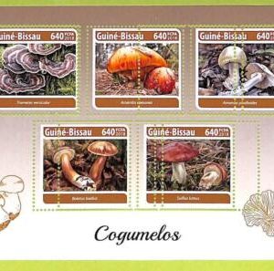 B0446 - GUINE-BISSAU - ERROR MISPERF Stamp Sheet - 2018 - Plants, Mushrooms