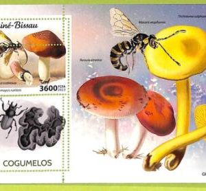 B0451 - GUINE-BISSAU - ERROR MISPERF Stamp Sheet - 2023 - Plants, Mushrooms