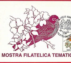ai5866 - SAN MARINO  - Postal History - MAXIMUM CARD - BIRDS - 1993
