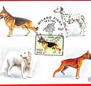 ai5830 - ITALY  - Postal History - MAXIMUM CARD - DOGS - 1994