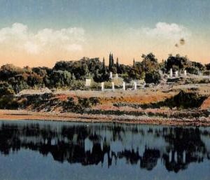 ac1992 - Ansichtskarten  VINTAGE POSTCARD - CROATIA - Brioni