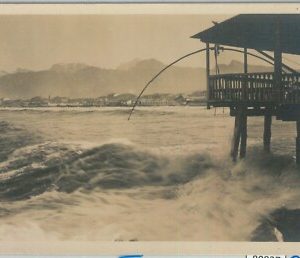 80826 - CARTOLINA d'Epoca - LUCCA  Provincia  - VIAREGGIO