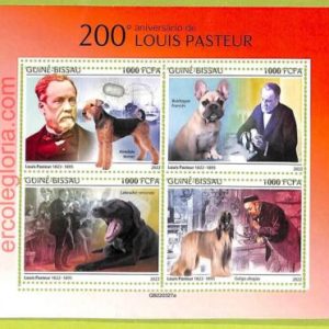 B0376 - GUINE-BISSAU - ERROR MISPERF Stamp Sheet - 2022 - Louis Pasteur,Science