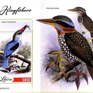 A9027 - LIBERIA - ERROR MISPERF Stamp Sheet - 2022  - Birds, Kingfishers