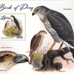 A9020 - LIBERIA - STAMP SHEET - 2022  - Birds of Prey