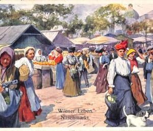 ab9898 - AUSTRIA - Ansichtskarten  VINTAGE  POSTCARD -  Wien - 1910