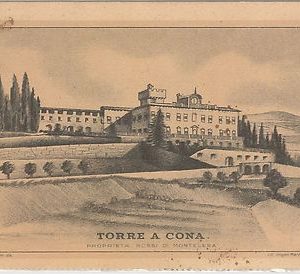 49536   CARTOLINA d'Epoca - FIRENZE  - Rignano sull'Arno: Villa di Torre a Cona