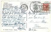12325 -  ITALY / USA - POSTAL HISTORY -1954  Postmark on Card: INSECTS !!