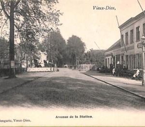 ac0100 - BELGIUM - Carte Postal Ancienne VINTAGE  POSTCARD - VIEUX-DIEU - 1906