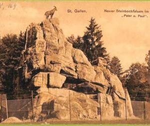 ad6642 - SWITZERLAND Schweitz - Ansichtskarten VINTAGE POSTCARD - St.Gallen-1909