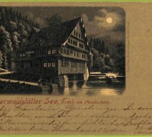 ad6718 - SWITZERLAND Schweitz - Ansichtskarten VINTAGE POSTCARD - Treib