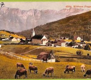 ad6731 - SWITZERLAND Schweitz - Ansichtskarten VINTAGE POSTCARD - Wildhaus