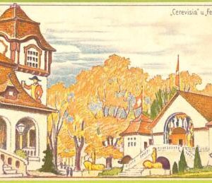 ad5674 - SWITZERLAND Schweitz - Ansichtskarten VINTAGE POSTCARD - Bern - 1914
