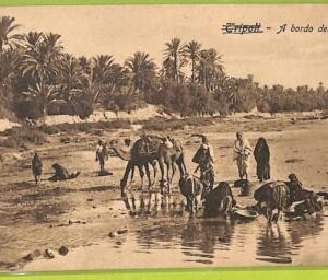 af6213 - LIBYA - VINTAGE POSTCARD - Tripoli - 1912