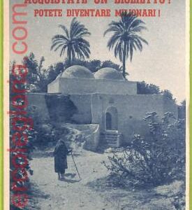 af6224 - LIBYA - VINTAGE POSTCARD - Tripoli