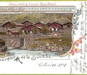 ad6674 - SWITZERLAND Schweitz - Ansichtskarten VINTAGE POSTCARD - Bern - 1901