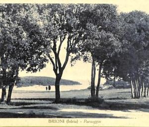04564 - Ansichtskarten  VINTAGE  POSTCARD - CROATIA - Brioni