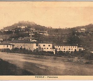 49629   CARTOLINA d'Epoca - FIRENZE provincia : FIESOLE - Panorama  1931