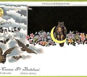 Lib7919 - SWITZERLAND - VINTAGE POSTCARD - Gruss aus St.Gallen OWLS Lucca