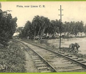 12730 - COSTA RICA - Vintage Postcard  - Pinta, near Limon C.R.