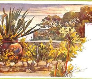 ac9464 - MONACO - VINTAGE POSTCARD