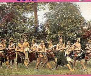 af9333 - Samoa -  VINTAGE POSTCARD - Ethnic HEAD HUNTERS