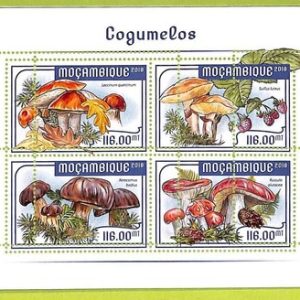 B0597 - MOZAMBIQUE -  ERROR MISPERF  Stamp Sheet - 2018 - Mushrooms