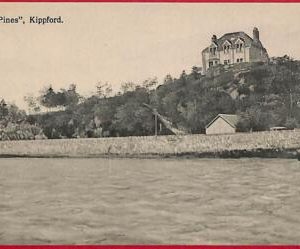 ai0192 -  GREAT BRITAIN - VINTAGE POSTCARD - Kippford