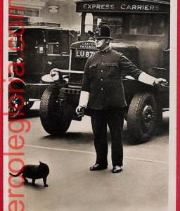 ai0234 -  GREAT BRITAIN - VINTAGE POSTCARD - Express Carriers