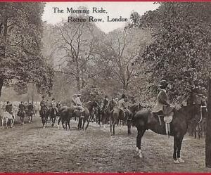 ai0261 -  GREAT BRITAIN - VINTAGE POSTCARD - London,Rotten Row