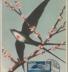 81184 - ITALY - Postal History - MAXIMUM CARD - Birds MEDICINE tuberculosis 1940