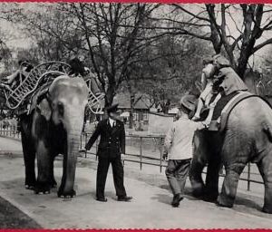ai0247 -  GREAT BRITAIN - VINTAGE POSTCARD - London 1958
