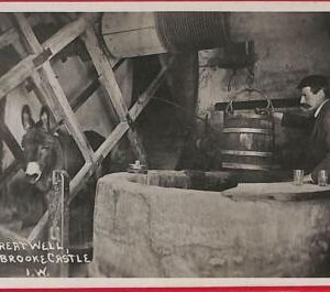 ai0179 -  GREAT BRITAIN - VINTAGE POSTCARD -  Isle of Wight